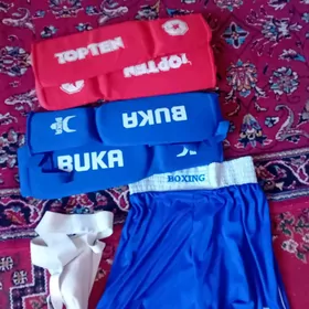 Stok