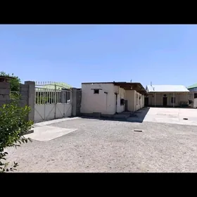 şor
