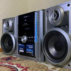 Moşny sentr Panasonic 2500Wat