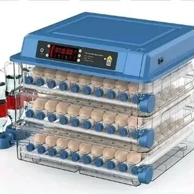 INKUBATOR ZAKAZ