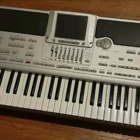 Korg pa x 1