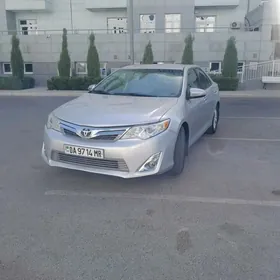 Toyota Camry 2014
