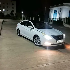 Hyundai Sonata 2010