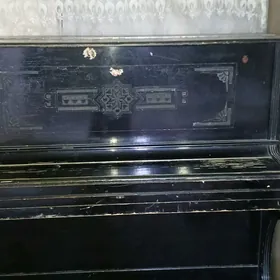 piyanina saz gural