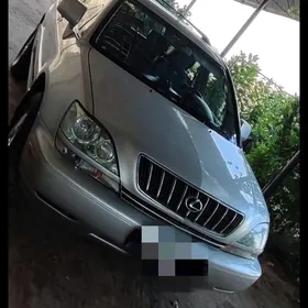 Lexus RX 300 2002
