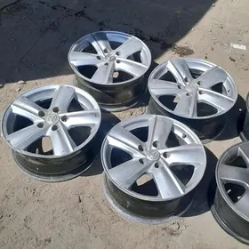 okuz kelle disga R16