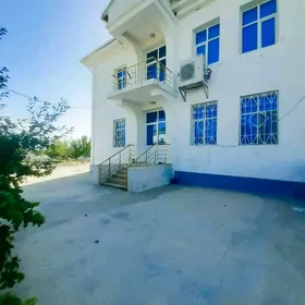 Taze Zaman