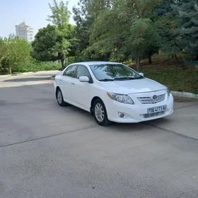 Toyota Corolla 2010