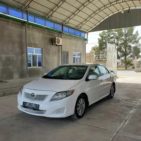 Toyota Corolla 2010