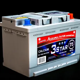 3 star akkumulyator
