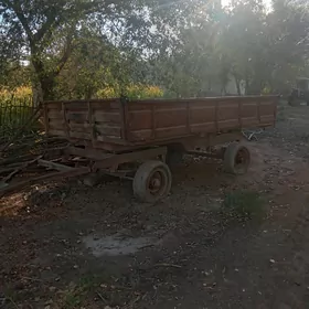 MTZ 82 2022