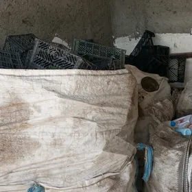 baklaşka
