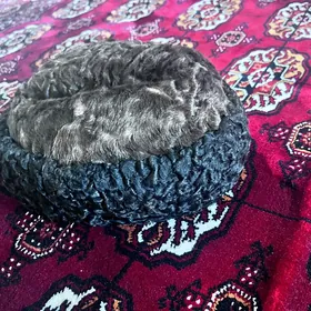 şyrdak