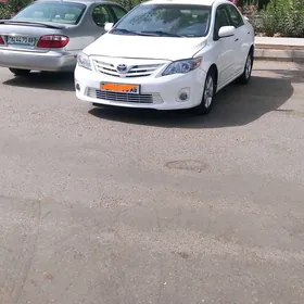 Toyota Corolla 2011