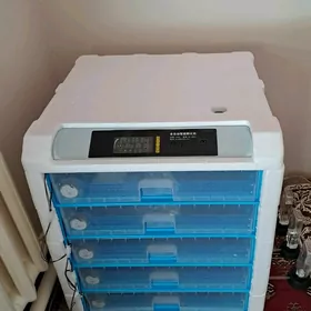 inkubator