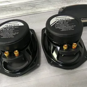 pioner  kalonka 550 arginal