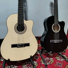 PAKET TAZE GITARA