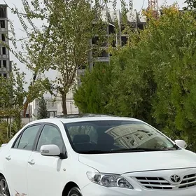 Toyota Corolla 2010