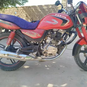 Fekon FK150-8G 2015