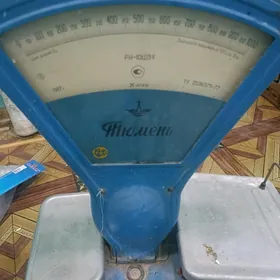 терази