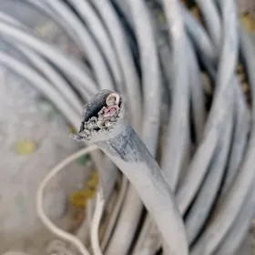 Kabel mis