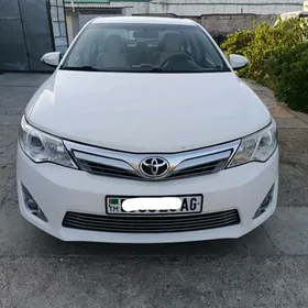 Toyota Camry 2013