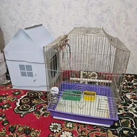 kletga guslar ucin
