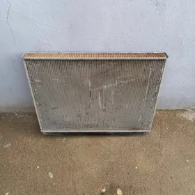 100 lik radiator