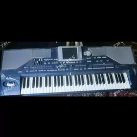 korg pa 800