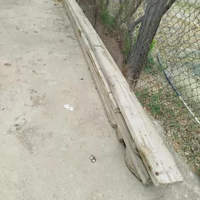 strapila agaç