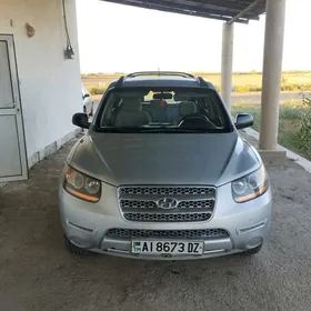 Hyundai Santa Fe 2009