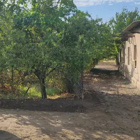 plan jaý woroshil sentr