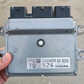 kompyuter Nissan Urvan, Rouge
