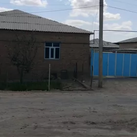 satlyk jaÿ tejen