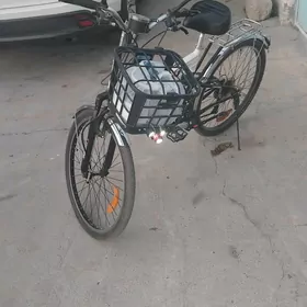Tigir dubai