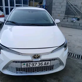 Toyota Corolla 2021