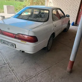 Toyota Vista 1993
