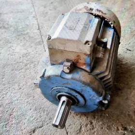 7.5kw turkinki 1.500 oborot