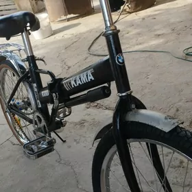 Kama tigir