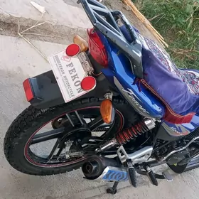 Fekon FK200-14G 2023