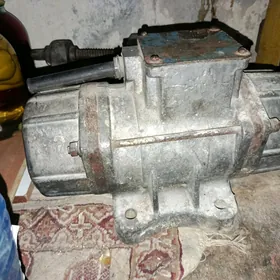 Nasos