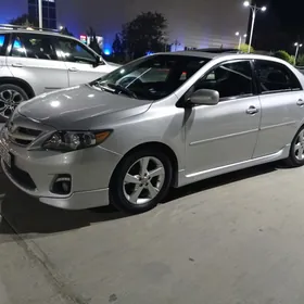 Toyota Corolla 2013