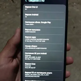 Galaxy a06