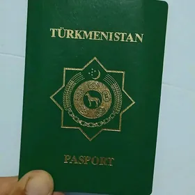 Pasport sadatnama nika hat
