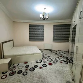 Arenda Mir 8