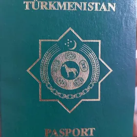 Pasport dokdyr kagyzlar