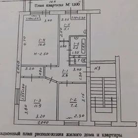 SAWEYSKİÝ MARAL MAGAZYN