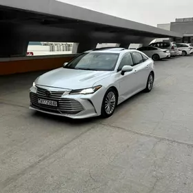 Toyota Avalon 2019