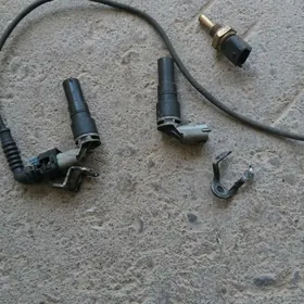 astra impuls datcik