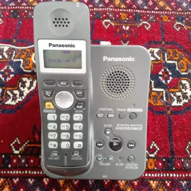 Panasonic